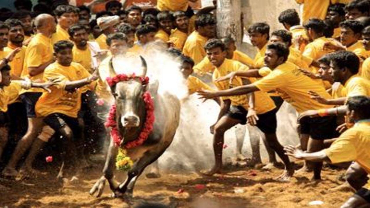 FESTIVAL OF TAMIL NADU