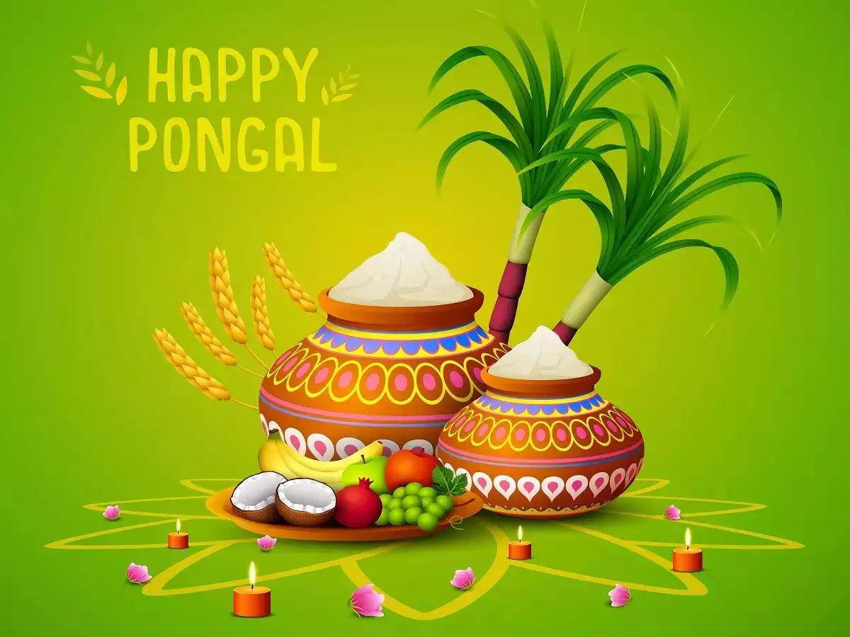 PONGAL WISHES 2024 IN TAMIL | பொங்கல் வாழ்த்துக்கள் 2024