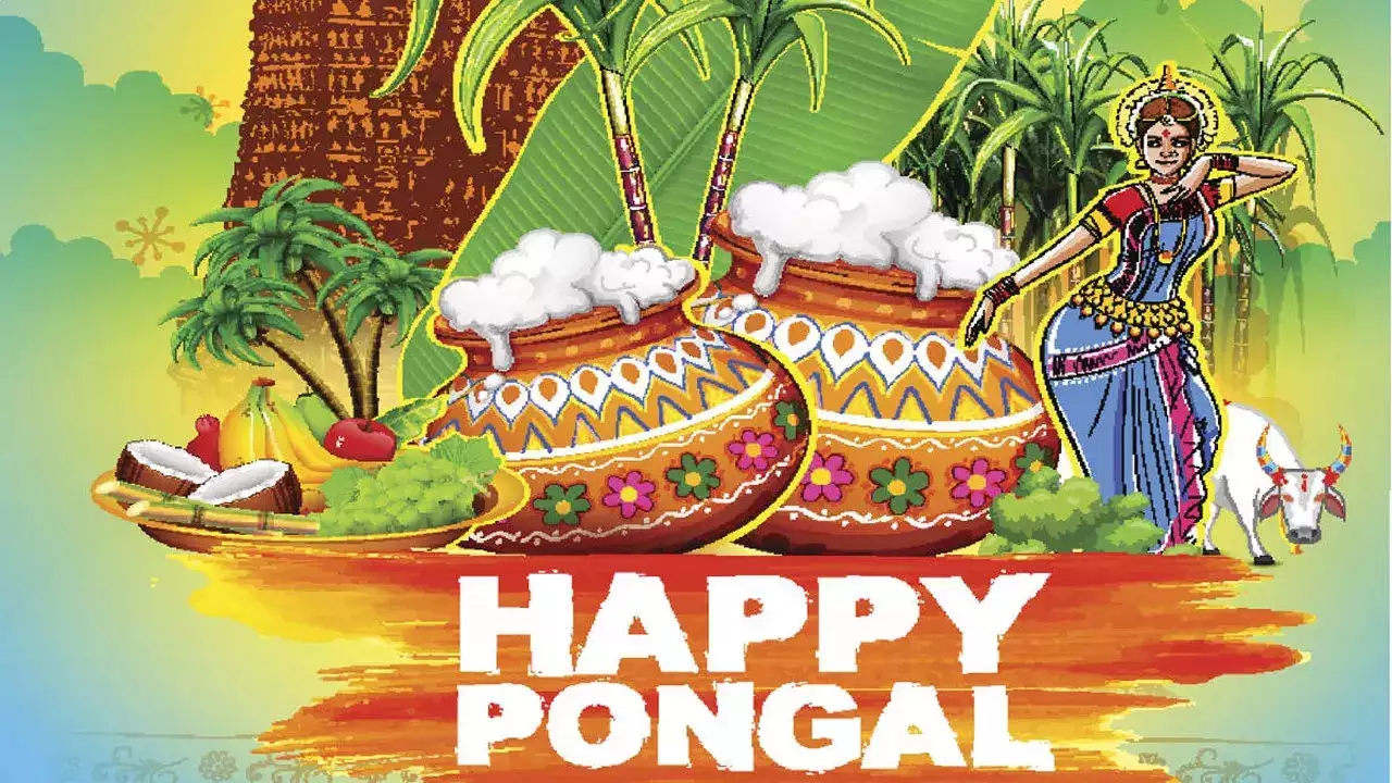 PONGAL WISHES 2024 IN TAMIL | பொங்கல் வாழ்த்துக்கள் 2024