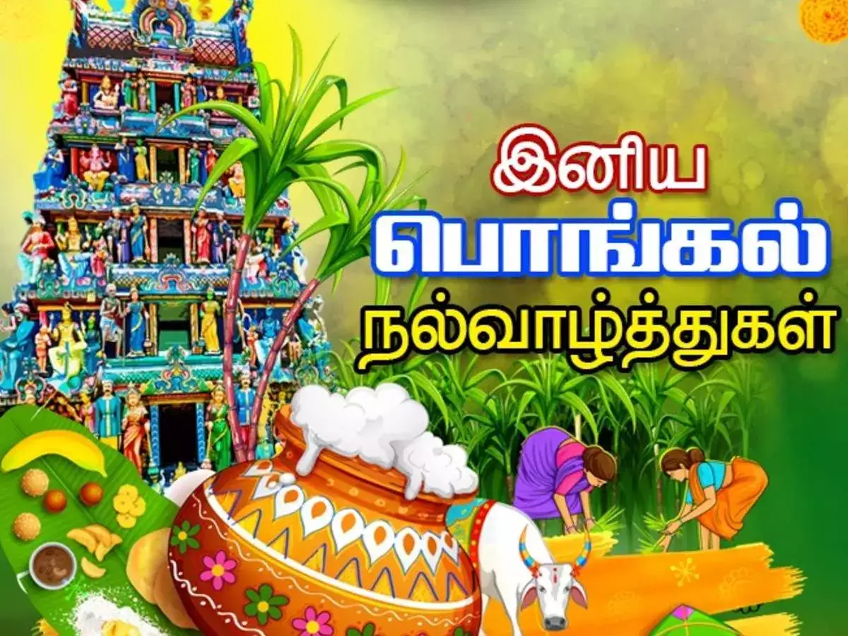 PONGAL WISHES 2024 IN TAMIL | பொங்கல் வாழ்த்துக்கள் 2024